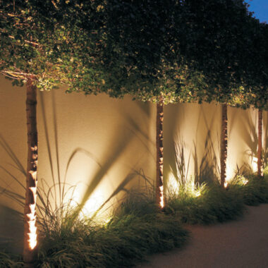 Creative Ways to Use Landscape Lighting In The Outdoors